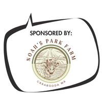 Sponsor Logo