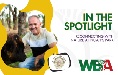 Reconnecting with Nature at Noah’s Park